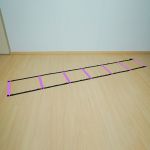Escada Agilidade Profissional Roxo - Consport 