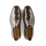 DERBY MASCULINO TRATORADO CAFÉ - GOLDEN RHOUKER