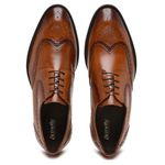 Sapato Masculino Derby Eleganza Whisky Bernotte 