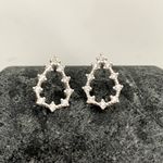Brinco Gota Com Zirconia Prata 925