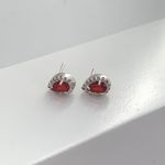 Brinco Gota Vermelha Com Zirconia Prata 925