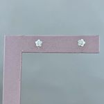 Brinco Flor Pequena Lisa Prata 925