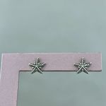 Brinco Prata Legitima 925 Envelhecido Estrela Mar Com Marcassita 