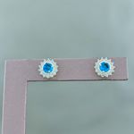 Brinco Redondo Zirconia Cores Prata 925