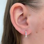 Brinco Argola uma Fileira Zirconia Colorida Media Prata 925