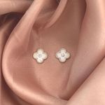 Brinco Trevo Detalhado Com Zirconia Prata 925