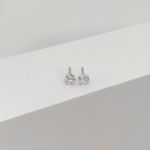 Brinco Solitario Zirconia 5mm Prata 925