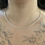 Corrente Prata Legítima 925 Modelo Lacraia 45cm