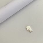 Colar Ponto Luz Menina em Madre Perola Fio Nylon 40cm