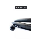 MANGUEIRA 1