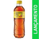 GUARANA LEAO SABOR NATURAL PET 300ML 1 UNIDADE
