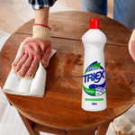 LIMPADOR DESENGORDURANTE TRIEX COZINHA 500 ML