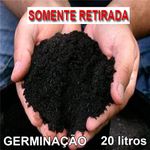 20 LITROS SUBSTRATO SEMEADURA ROSA DO DESERTO