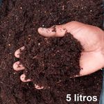 5 LITROS SUBSTRATO SEMEADURA ROSA DO DESERTO Copia