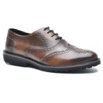 Sapato Masculino Oxford Brogue Wing Castor