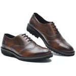 Sapato Masculino Oxford Brogue Wing Castor