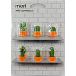 IMÃ DE FOTOS CACTOS C/6 UNIDADES - MORI