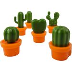 IMÃ DE FOTOS CACTOS C/6 UNIDADES - MORI