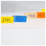 PASTA SANFONADA DAC 12 DIV TRANS A4