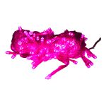 CORDÃO 100 LEDs - 127V FIO VERDE 8 FUNÇÕES