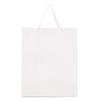 SACOLA PRESENTE TRIPLEX NYLON BRANCA 310X120X440 - 06 UNIDADES 