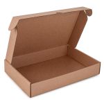 CAIXA ENVIO KRAFT 300X200X50 - 10 UNIDADES