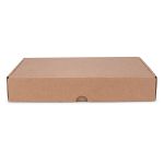 CAIXA ENVIO KRAFT 300X200X50 - 10 UNIDADES