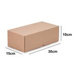 CAIXA ENVIO KRAFT 300X150X100 - 10 UNIDADES