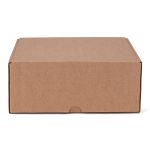 CAIXA ENVIO KRAFT 200X200X100 - 10 UNIDADES