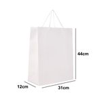 SACOLA PRESENTE TRIPLEX NYLON BRANCA 310X120X440 - 06 UNIDADES 