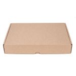 CAIXA ENVIO KRAFT 300X200X50 - 10 UNIDADES