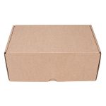 CAIXA ENVIO KRAFT 250X150X100 - 10 UNIDADES
