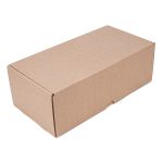 CAIXA ENVIO KRAFT 300X150X100 - 10 UNIDADES