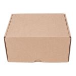CAIXA ENVIO KRAFT 160x110x90 - 10 UNIDADES