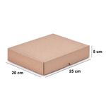 CAIXA ENVIO KRAFT 250X200X50 - 10 UNIDADES