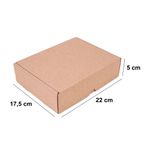 CAIXA ENVIO KRAFT 220X175X60 - 10 UNIDADES
