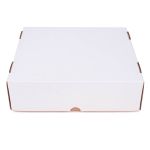 EMBALAGEM CAIXA BRANCA / KRAFT PEQUENA 24X21X7 - 10 UNIDADES