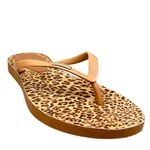 Chinelo de Dedo Caramelo Flop Palmilha Onça