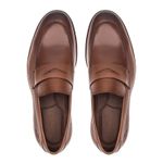 Clássico Sola Couro Donald Naturalle Tabaco Samello