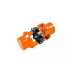 Acoplamento Elastico MN-5
