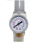 Filtro Regulador de Ar 1/4 pol AEFR2000SP Fluir