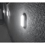 Arandela Tartaruga Led 8w 6500k Ledbee LL1230 Bivolt