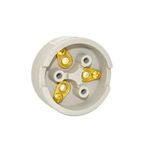 Tomada Porcelana 3 Pinos 30A Decorlux TO0333