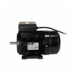 Motor 2,0CV P4 Monofásico IP55 Lynus (Betoneira)