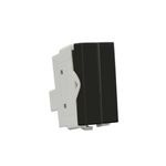 Módulo Interruptor Duplo Simples Linha Infinity Ebony Margirius