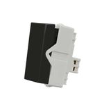 Módulo Interruptor Simples Linha Infinity Ebony Margirius