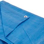 Lona De Polietileno Azul 6m x 5m 100 Micras Nove54 6169065000