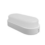 Luminaria Led Tartaruga Branca 12W 6000K Bivolt Foxlux 93.07
