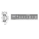 Polia de Ferro Fundido 120mm com 2 Canais B