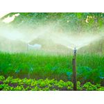 Aspersor P5 Rosca Externa 1/2 pol 0069-8 Agrojet